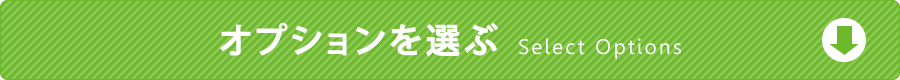 オプション