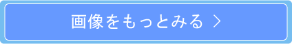 ギャラリーページへ進む